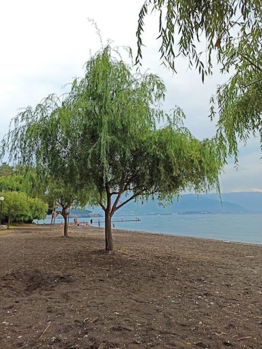 Luka Apartment In The Center Of Ohrid Extérieur photo
